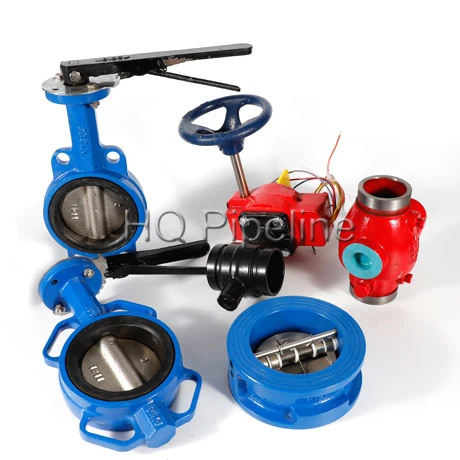 Wafer/Lug/Swing/Grooved End Flanged Type Cast Iron/Stainless Steel Butterfly/Check/Ball Valve for Water Fire Fighting